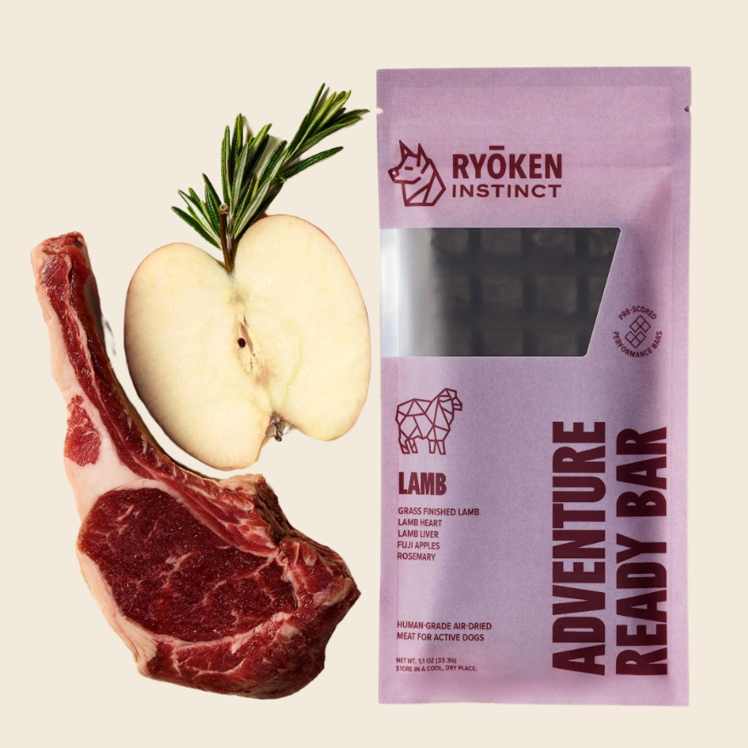 Ryōken Instinct Lamb Treat & Snack Bar For Active Dogs - Energy & Recovery