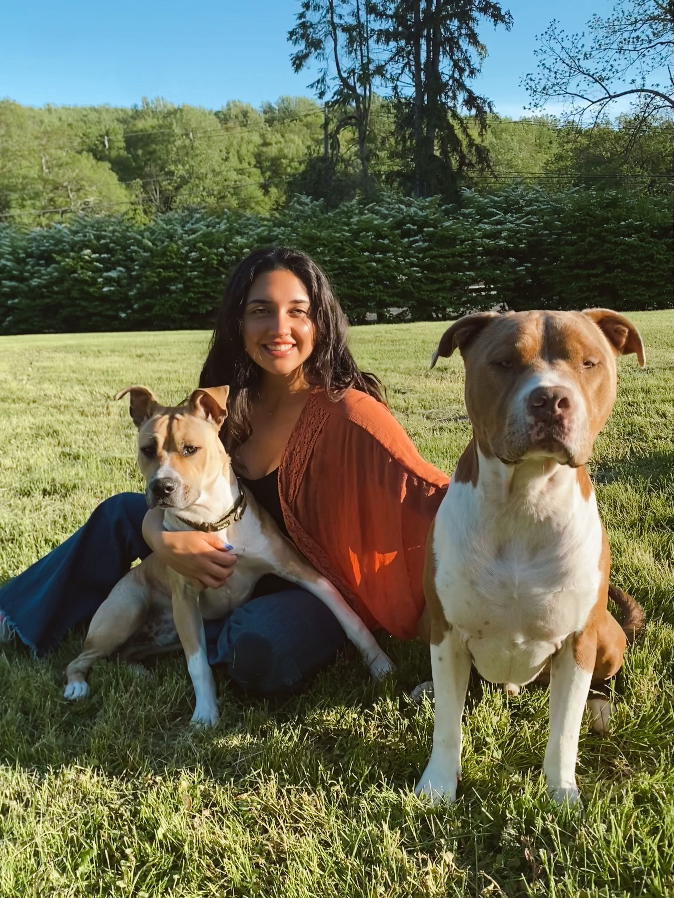woman setting in a park like setting with two dogs