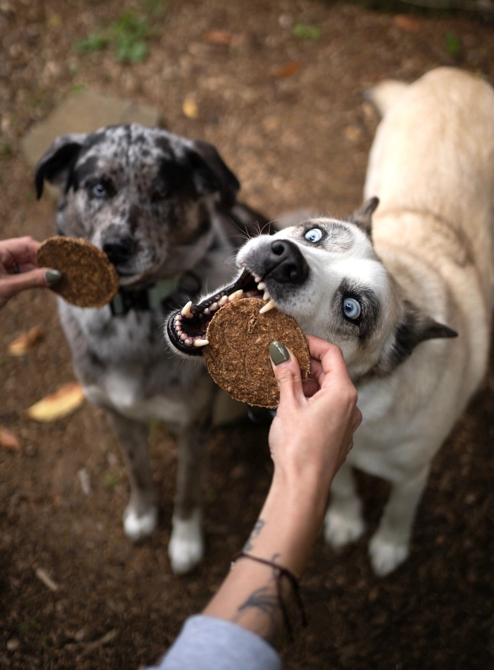 Litto Howler Grass Fed Beef Patties