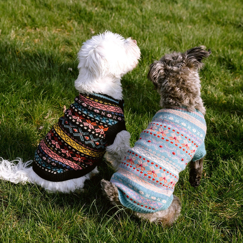 Parker Dog Sweater - Natural