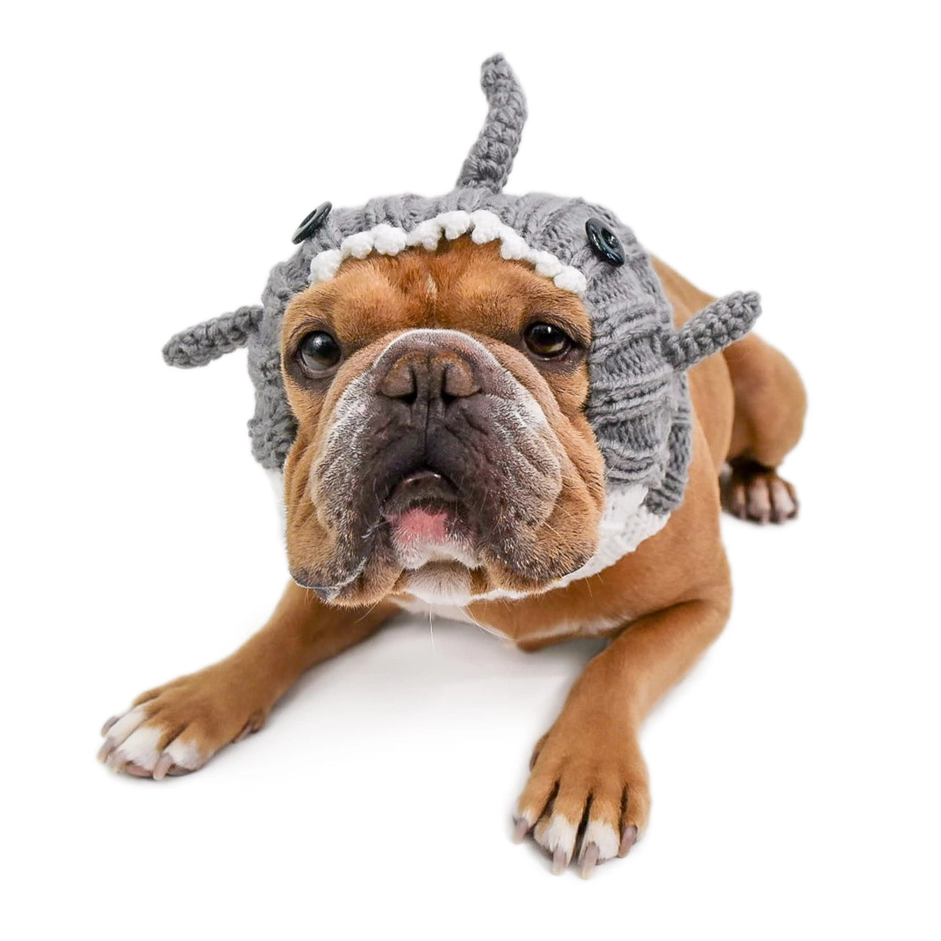 Great White Shark Snood