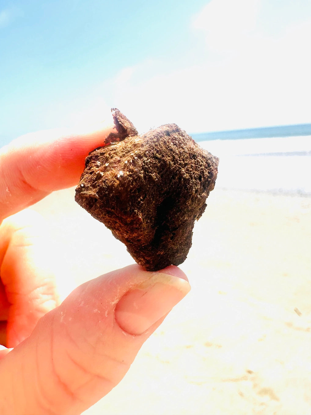 Fur Monster Goodies Freeze-Dried Organ: Bison Spleen & Functional Mushrooms