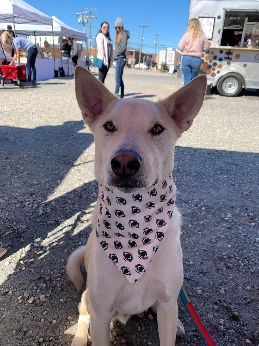 Lucy And Co. Eye On You Bandana