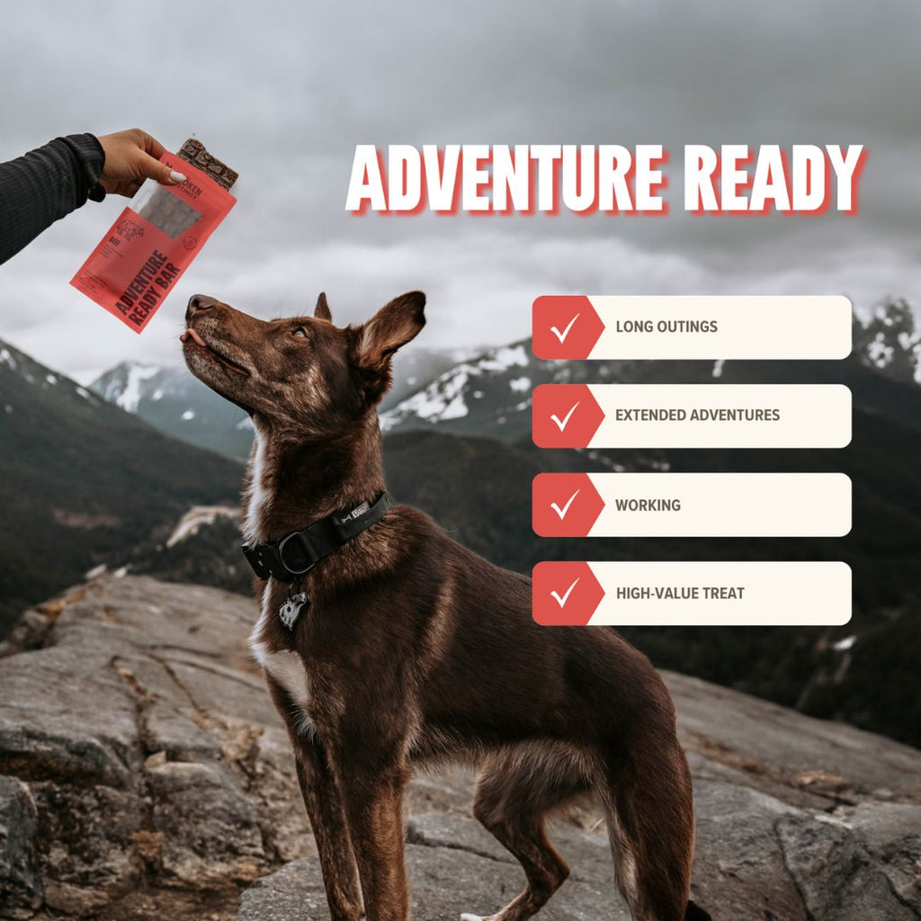 Ryōken Instinct Beef Treat & Snack Bar For Active Dogs - Energy & Recovery
