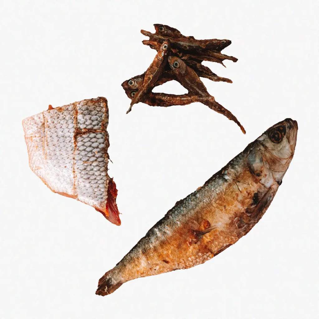 Wild n Fresh All I Sea Is Food Omega-3 Grab Bag