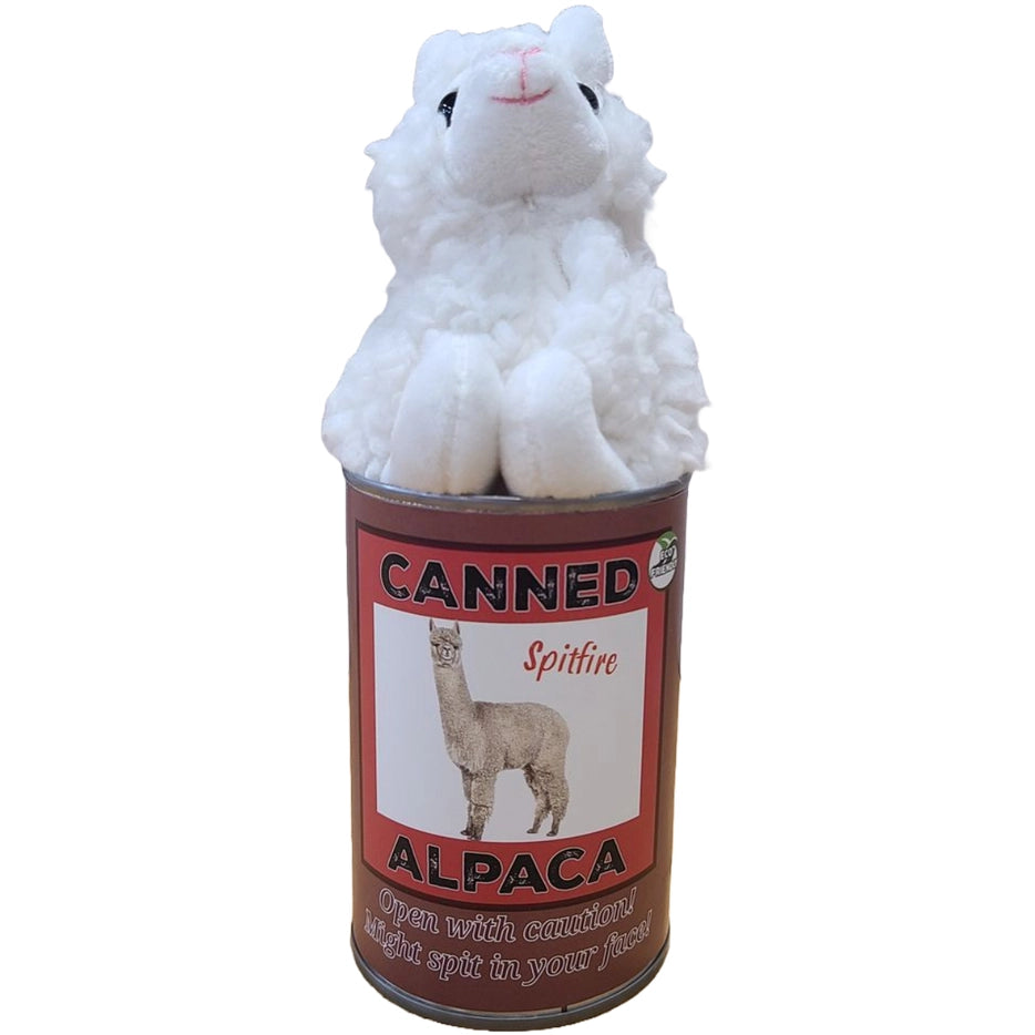 Canned Be Mine Candy Heart