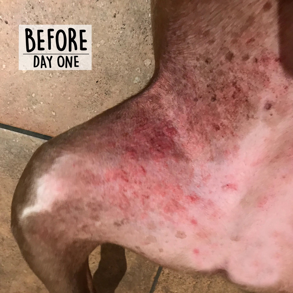 Cordoba Farms Skin Therapy Balm