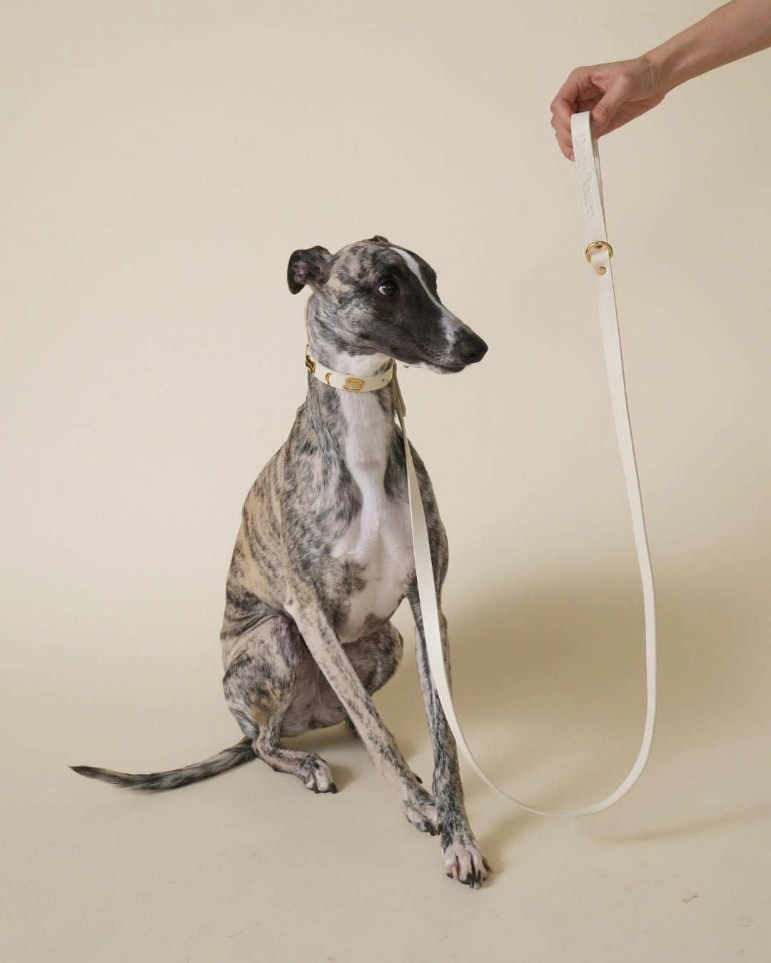 Dear Deuce The Couch Potato Leash