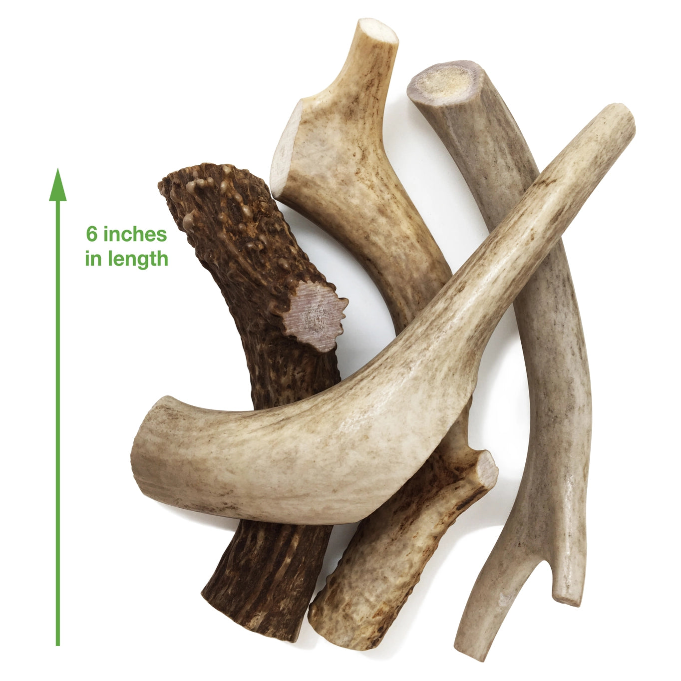 Whole Elk Antlers