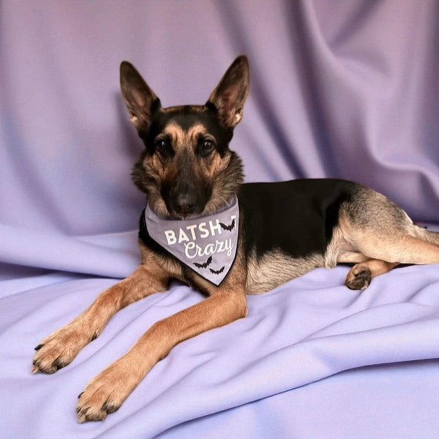 Boneyard Co "Batsh*T Crazy" Dog Bandana