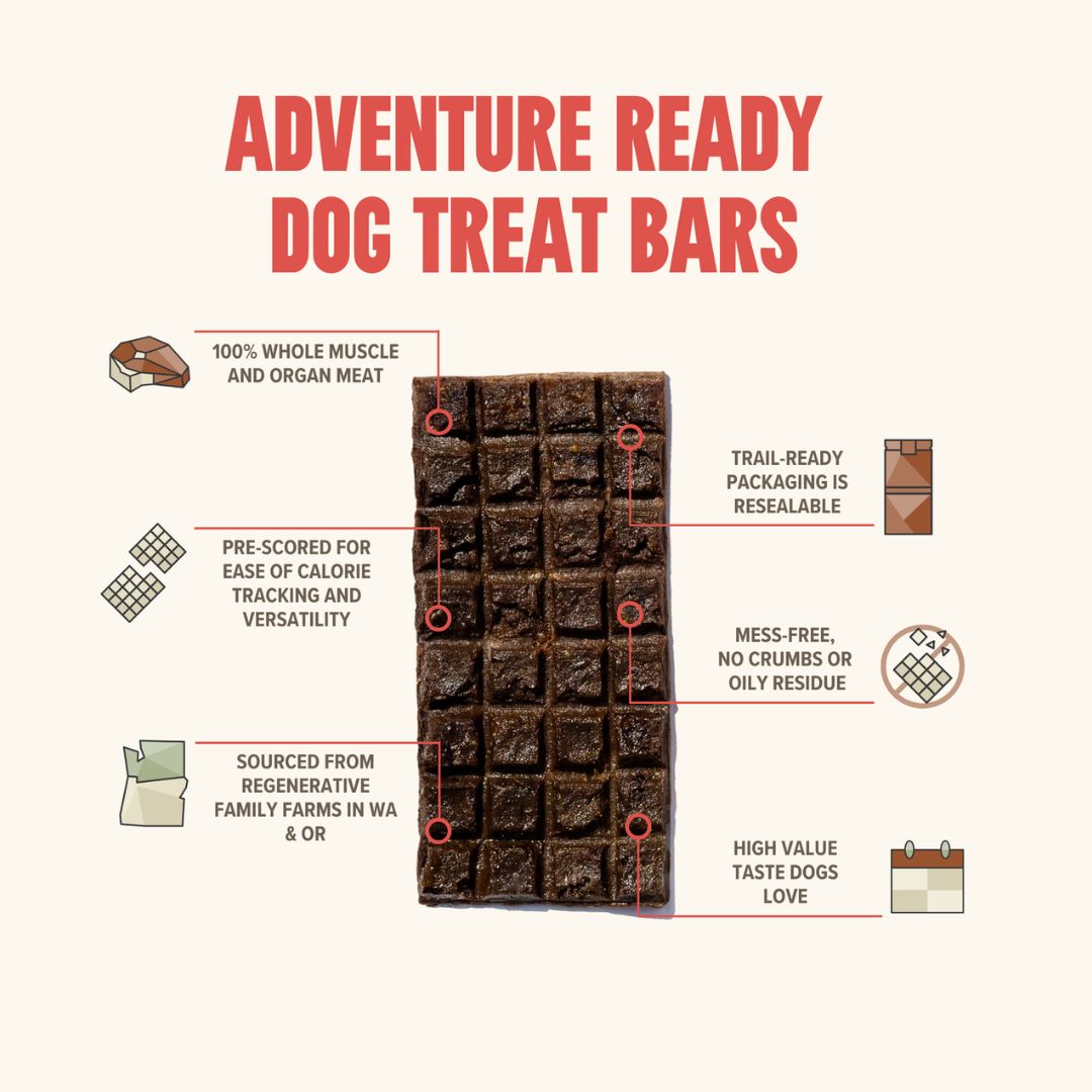 Ryōken Instinct Beef Treat & Snack Bar For Active Dogs - Energy & Recovery