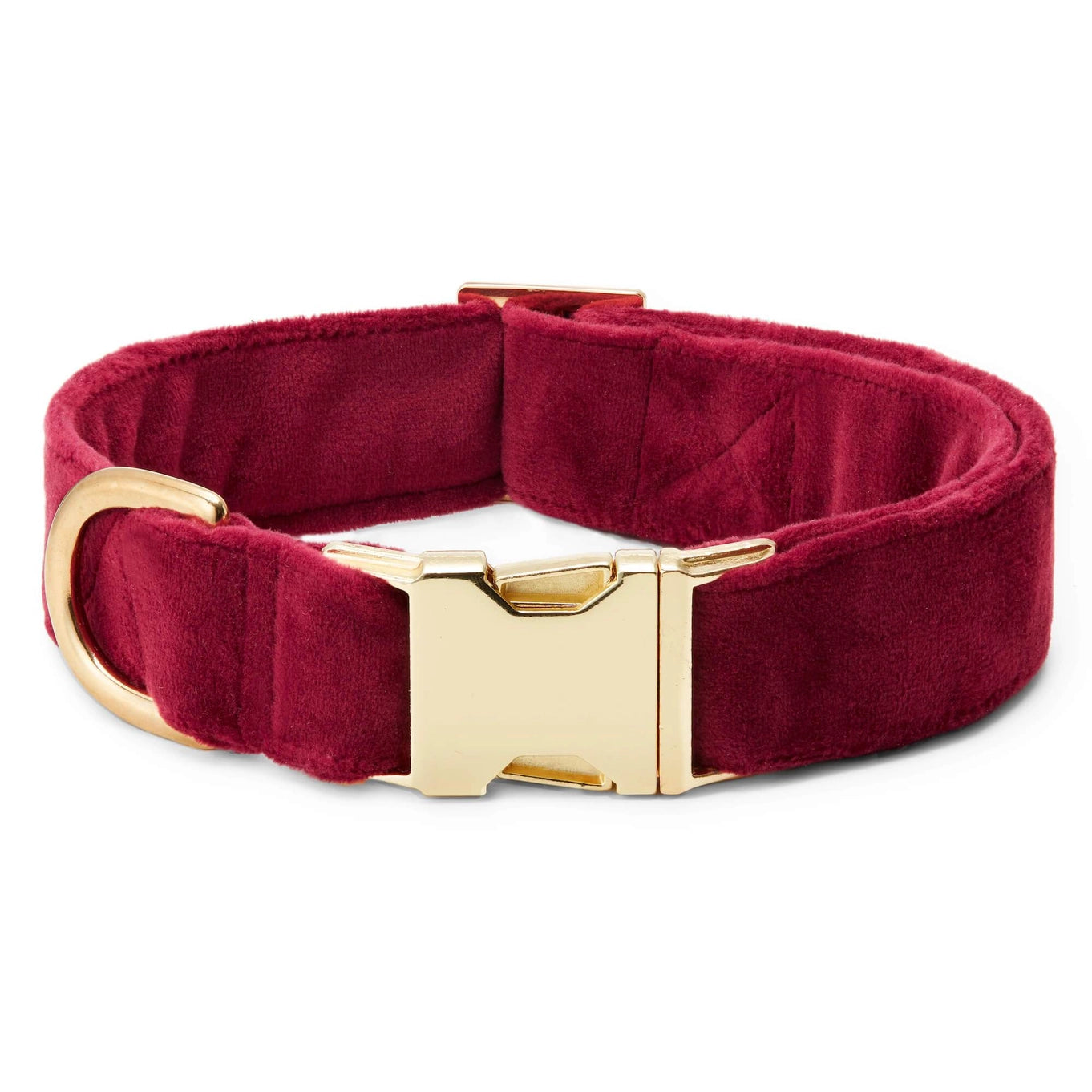 The Foggy Dog Velvet Collar