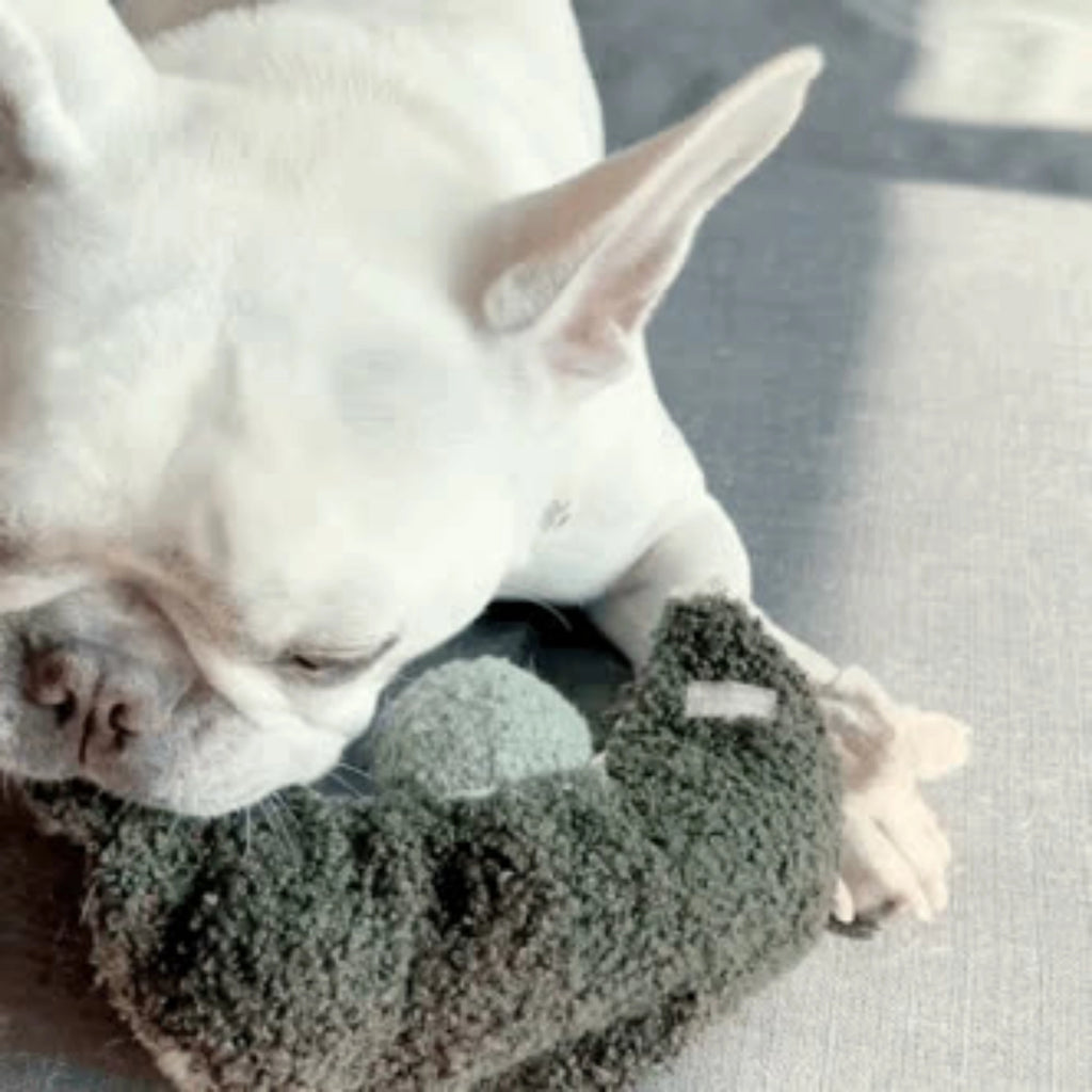 Lambwolf Collective Pea Pop Enrichment Dog Toy