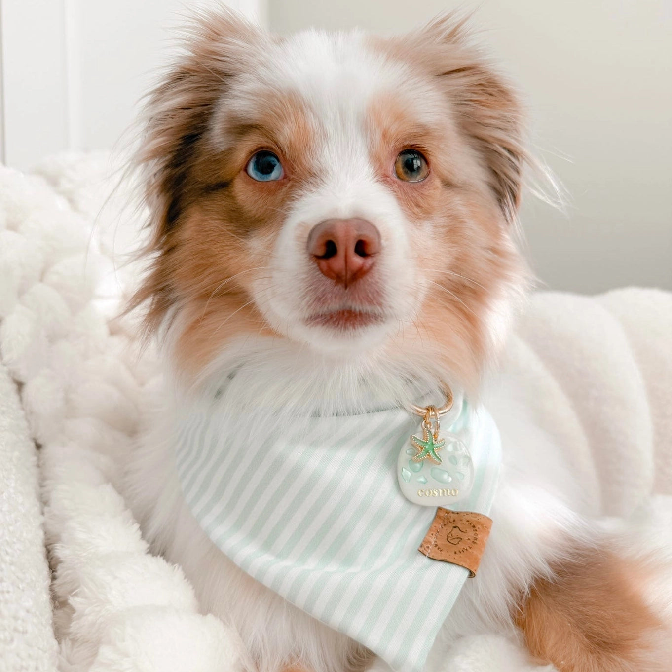 Pawsome Tails Coastal Breeze Bandana