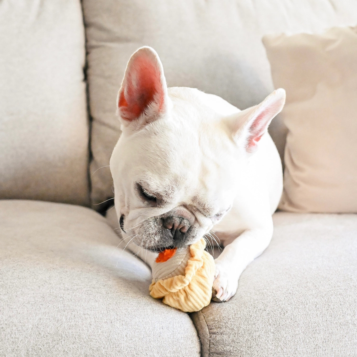 Lambwolf Collective Dim Sum Pop // Enrichment Dog Toy