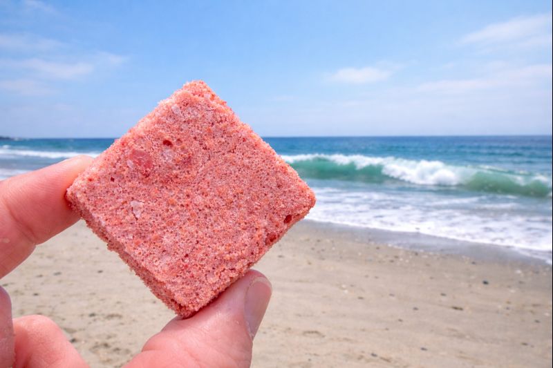 Fur Monster Goodies Freeze-Dried Organic Egg & Goat Kefir: Organic Strawberry
