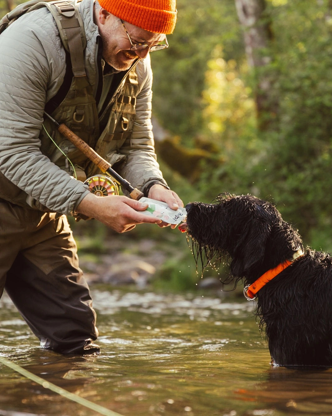 Rigby Organic Salmon Squeeze Pouch For Dogs - 6 Pack