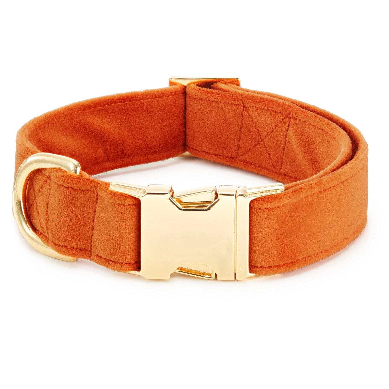 The Foggy Dog Velvet Collar