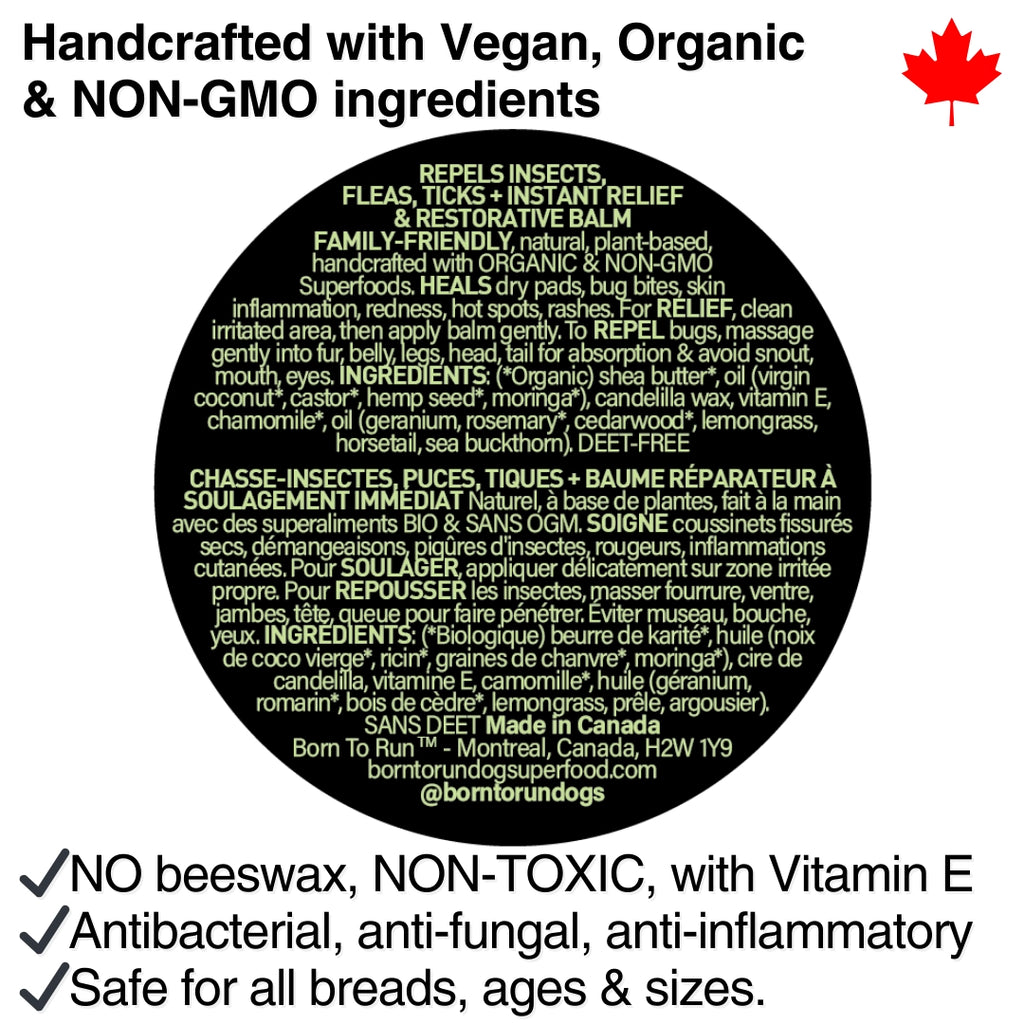 Born To Run Skin & Coat Healing Balm w/ Bug Repellent Organic