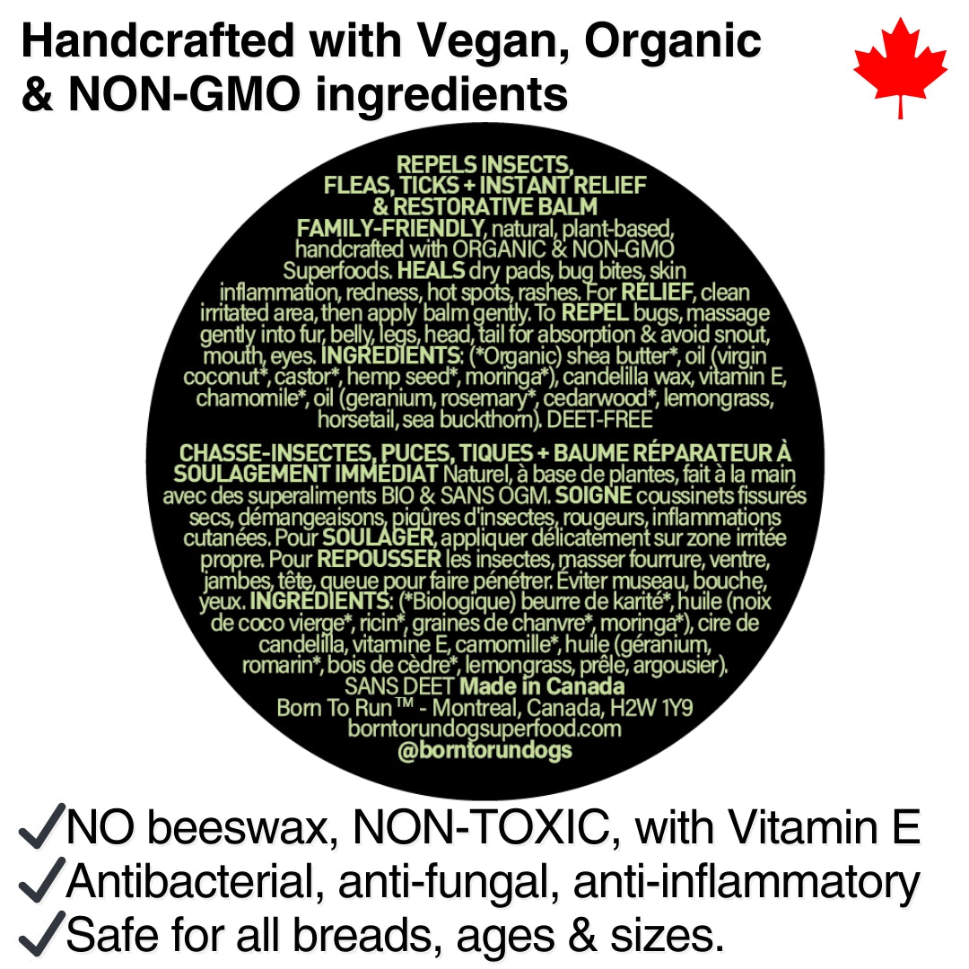Born To Run Skin & Coat Healing Balm w/ Bug Repellent Organic