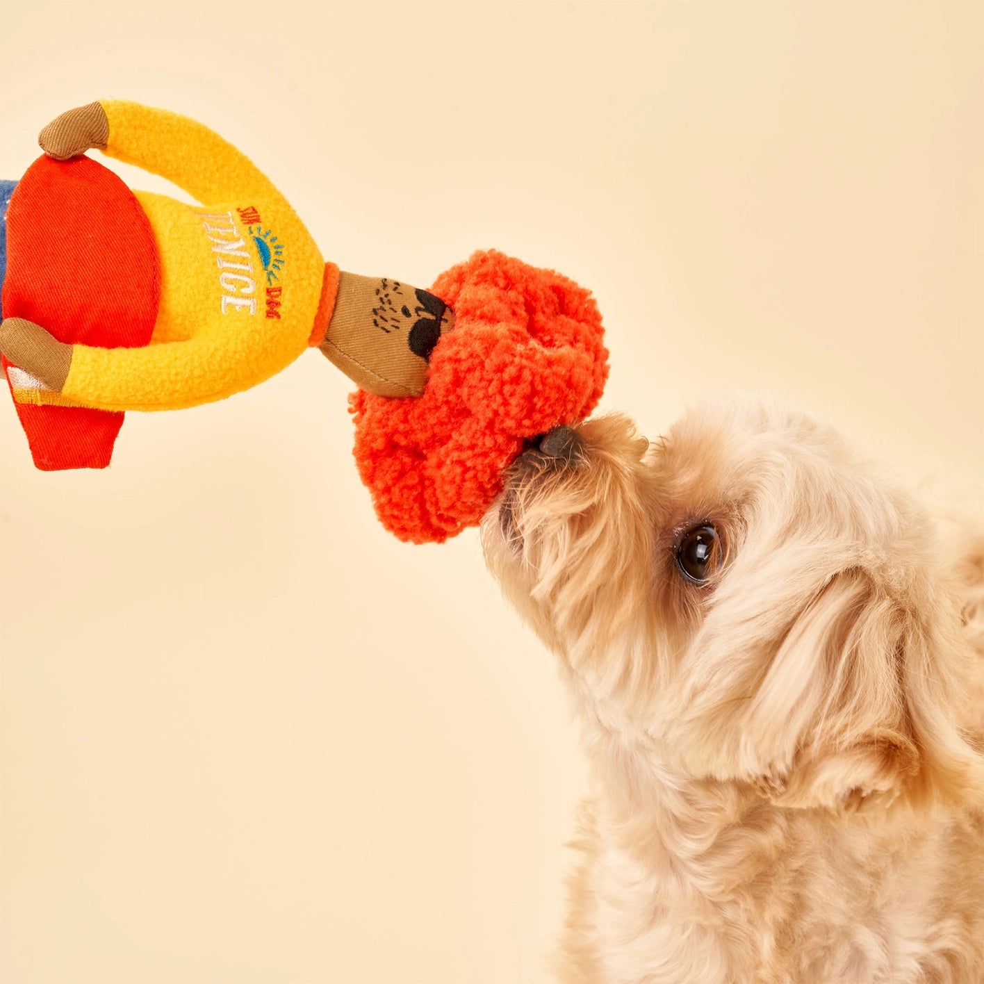 The Furry Folks Surfer Hooman Nosework Toy