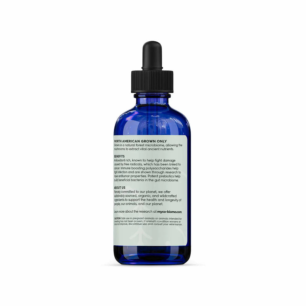 Adored Beast Apothecary Turkey Tail Mushrooms | Liquid Extract