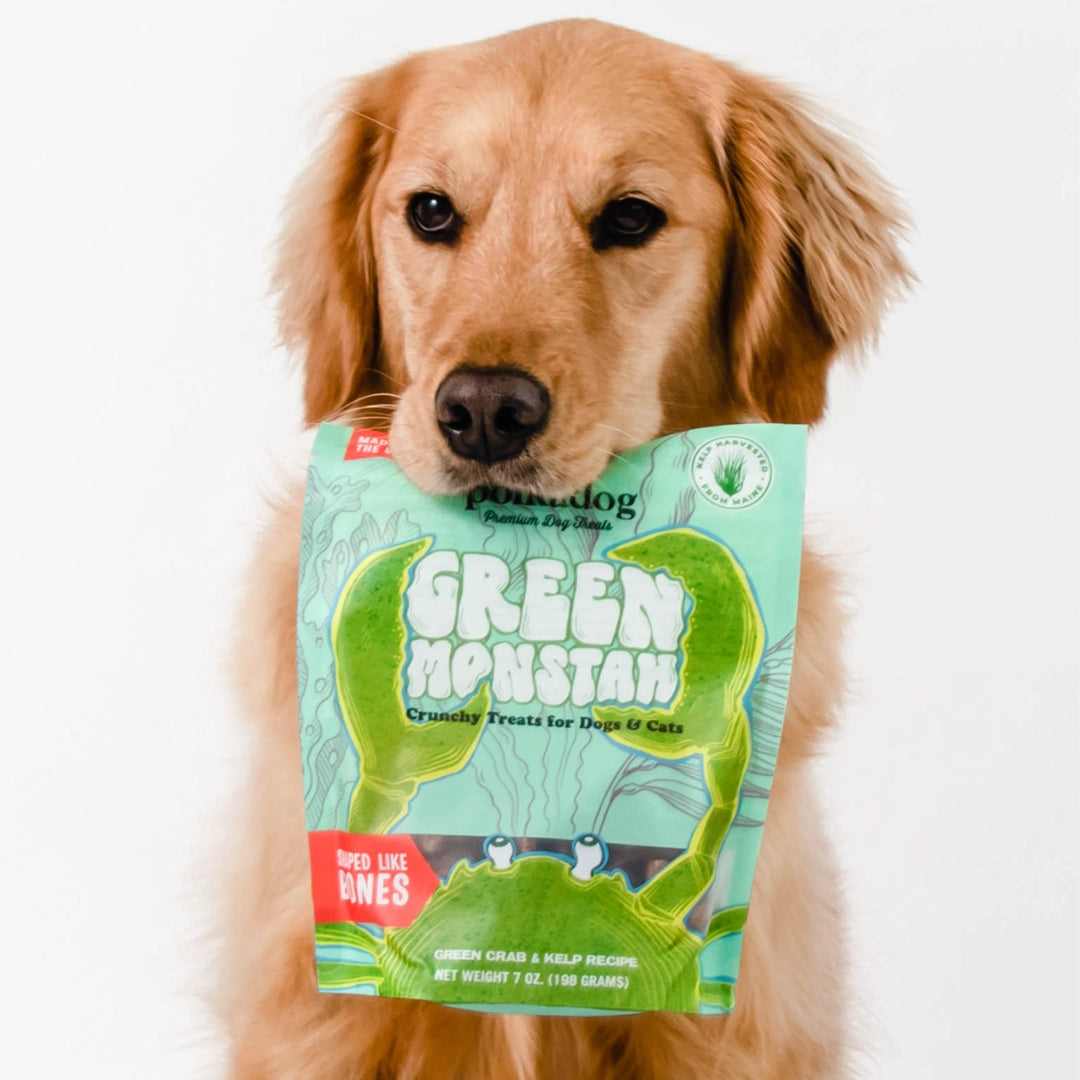 Polkadog Green Monstah Bone Shaped Crunchy Dog & Cat Treats