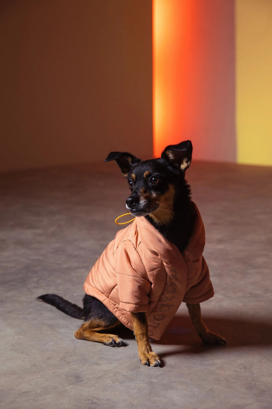 Maxbone Wrap Puffer Jacket