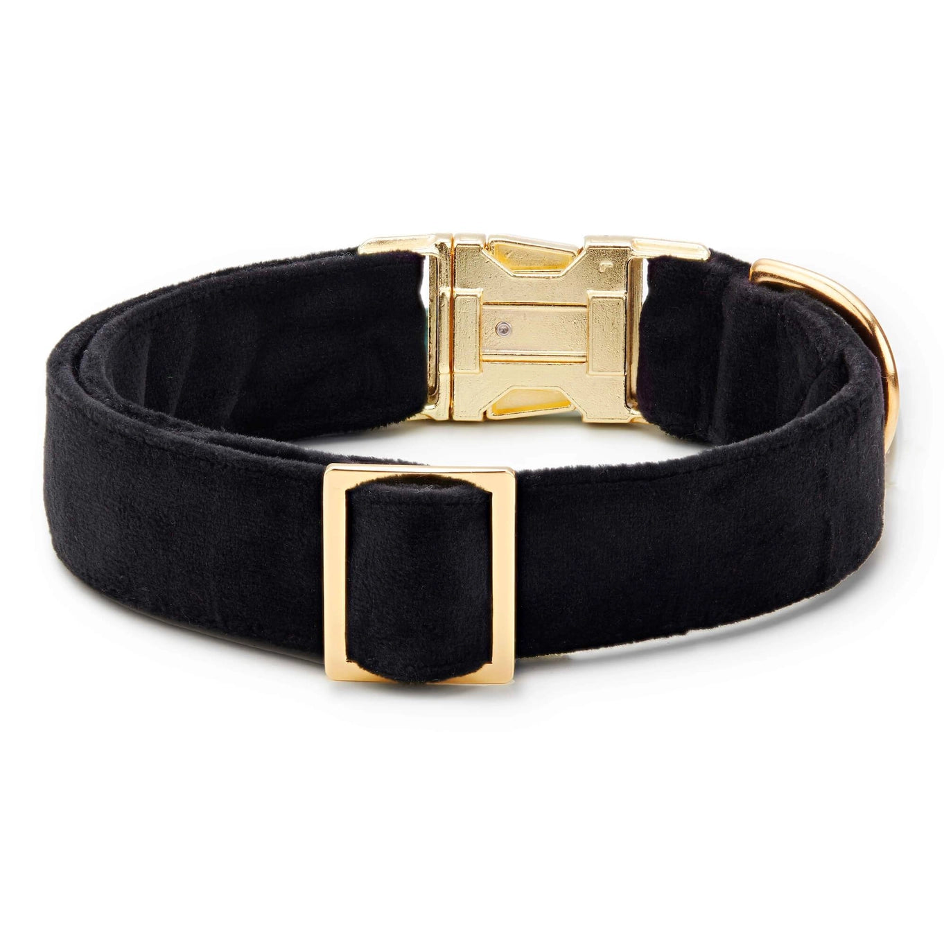 The Foggy Dog Velvet Collar