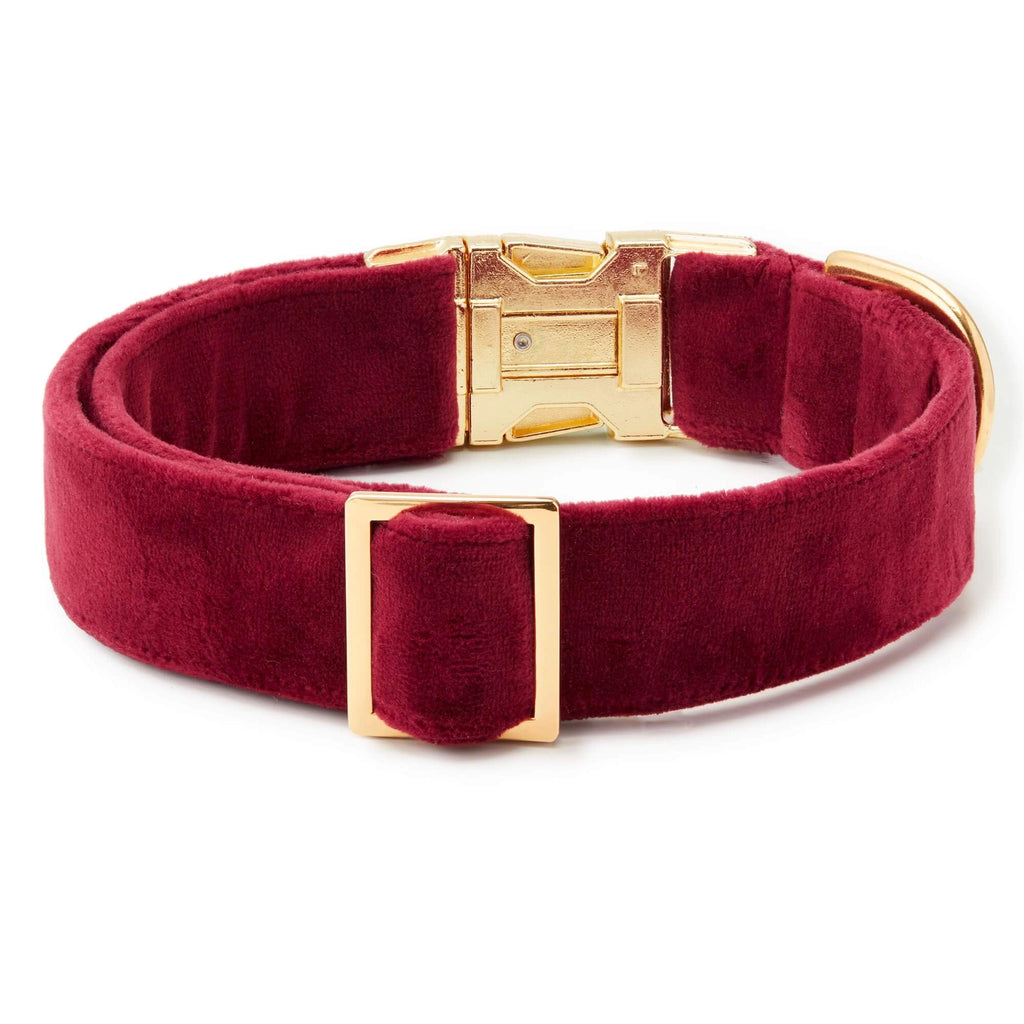 The Foggy Dog Velvet Collar