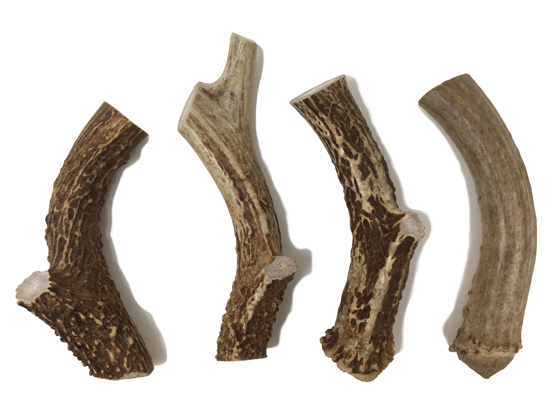 Whole Elk Antlers