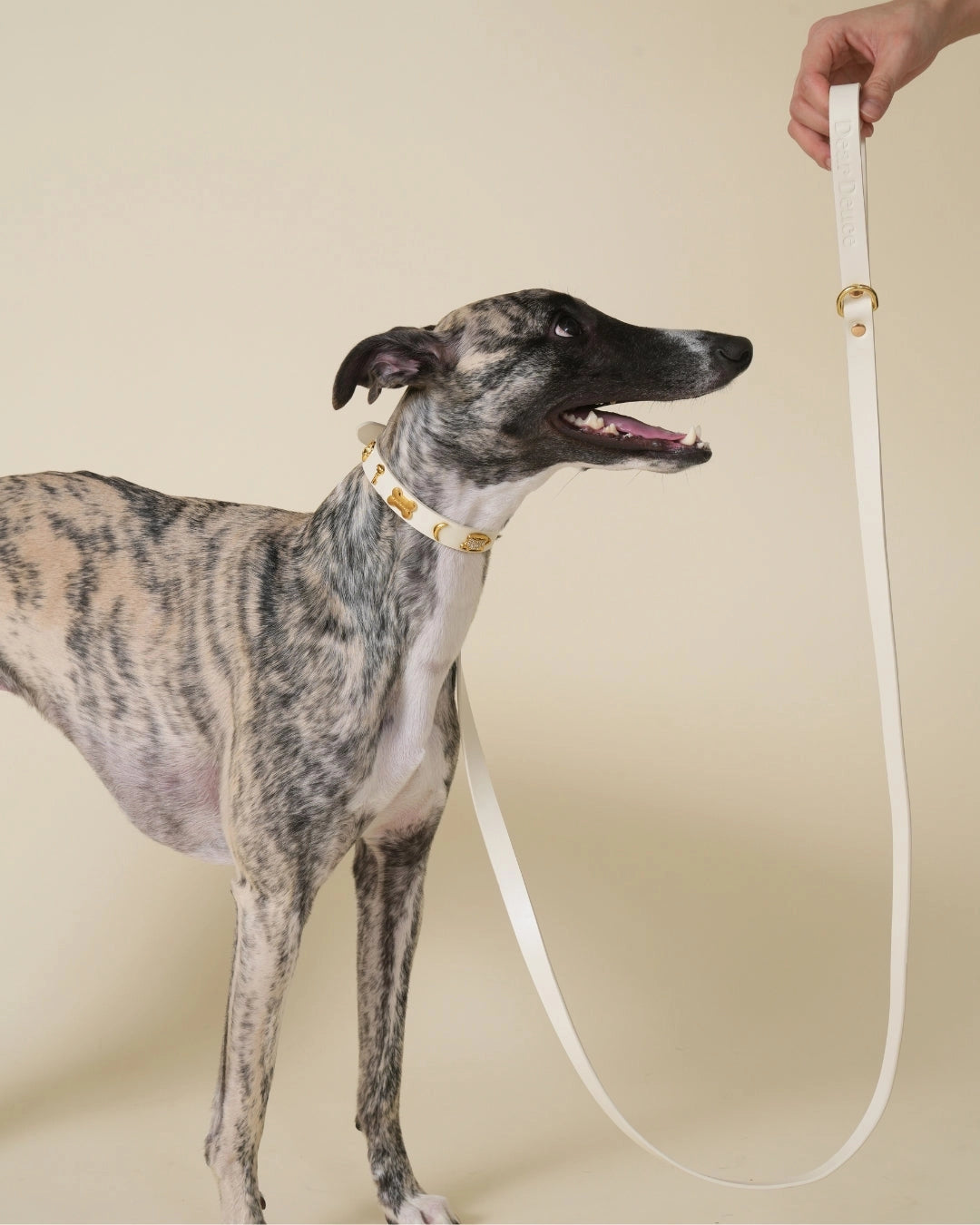 Dear Deuce The Couch Potato Leash