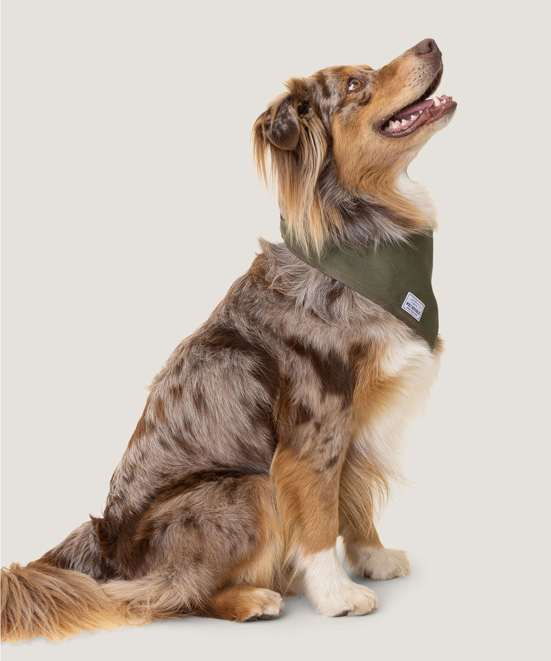 Wolf Republic Hunter Green Bandana