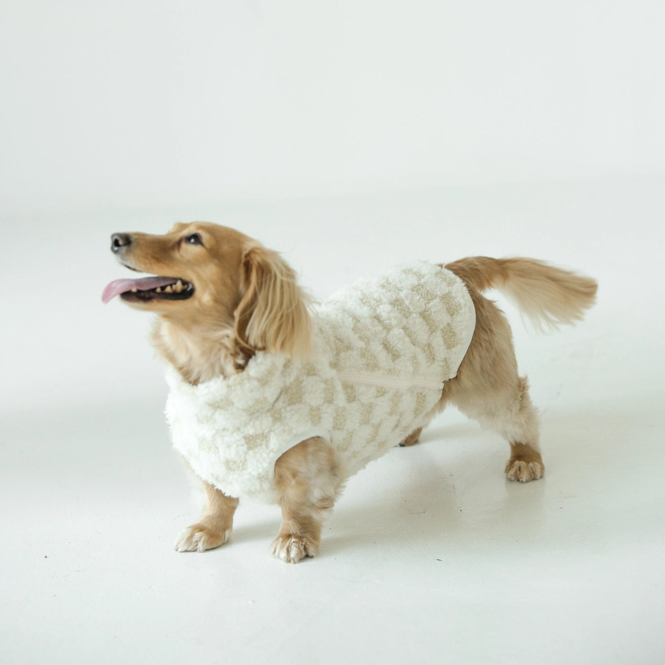 Lambwolf Collective Crosby Sweater Vest