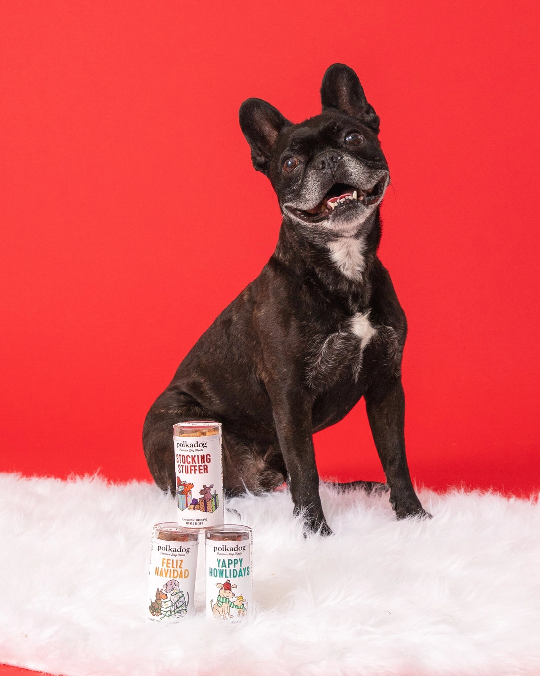 Polka Dog Holiday Mini Tube - Feliz Navidad Dog Treats