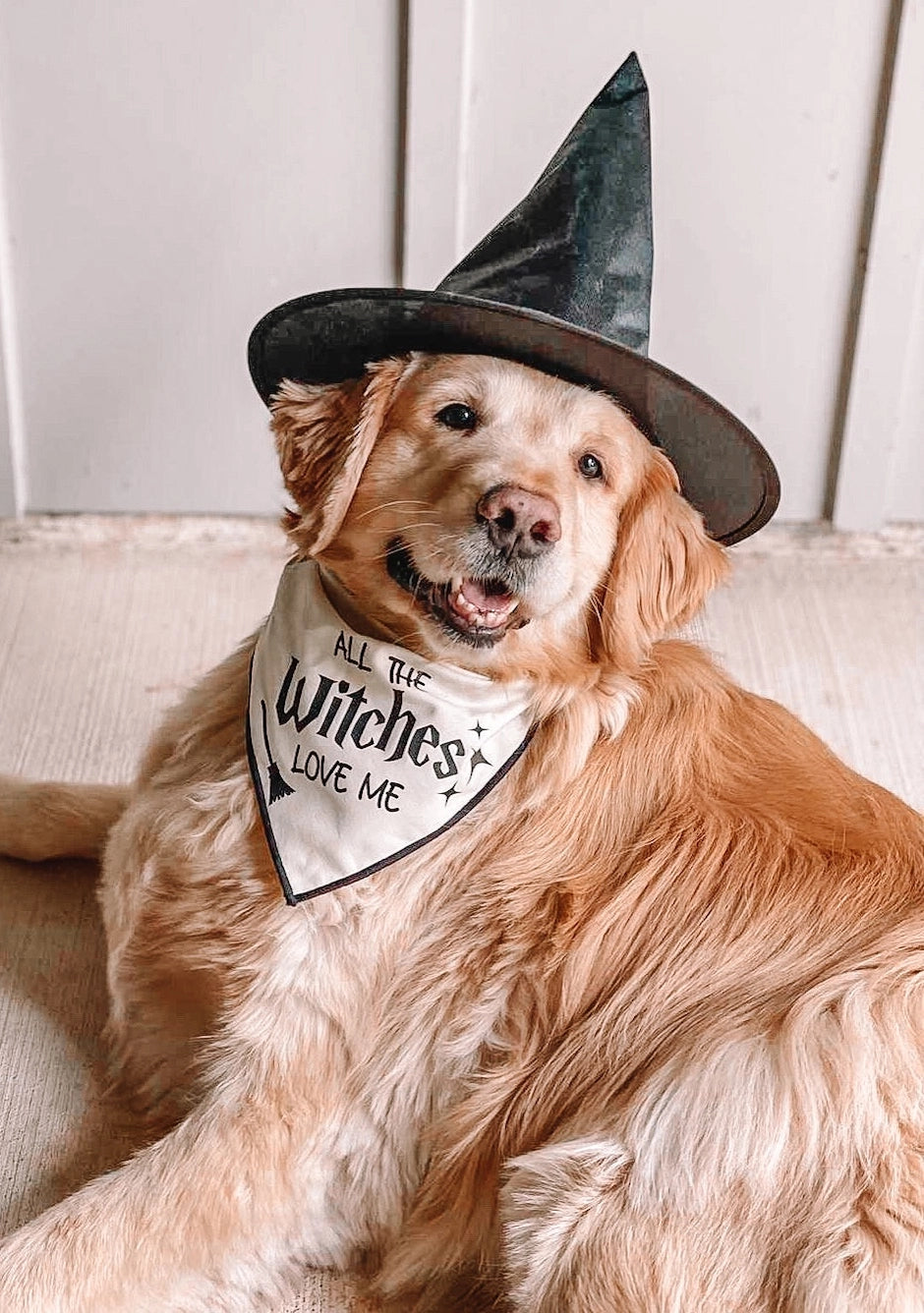 Boneyard Co "All the Witches" Dog Bandana