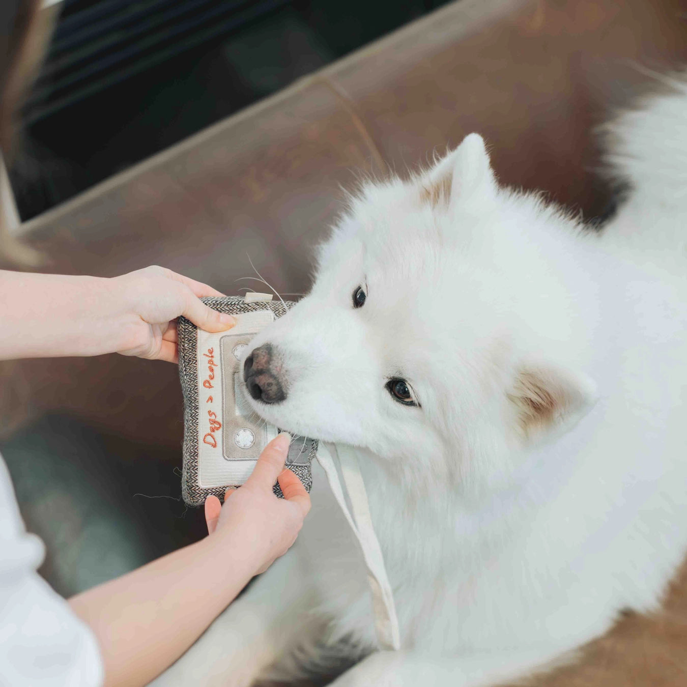 Lambwolf Collective - Cassette Enrichment Dog Toy