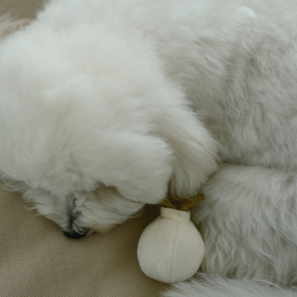 Lambwolf Collective Garlic Pop Toy