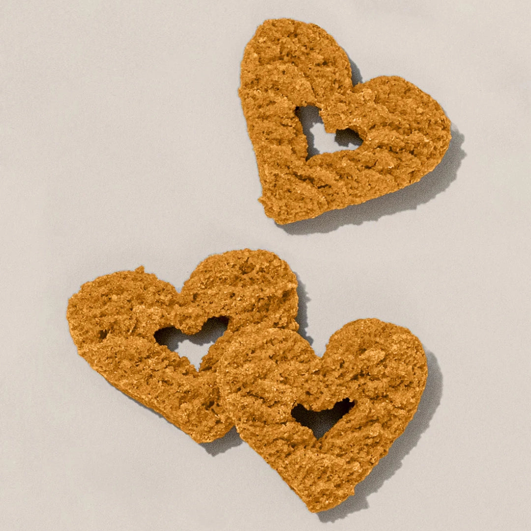 Gogoma PB + Pumpkin Dog Treat For Digestion