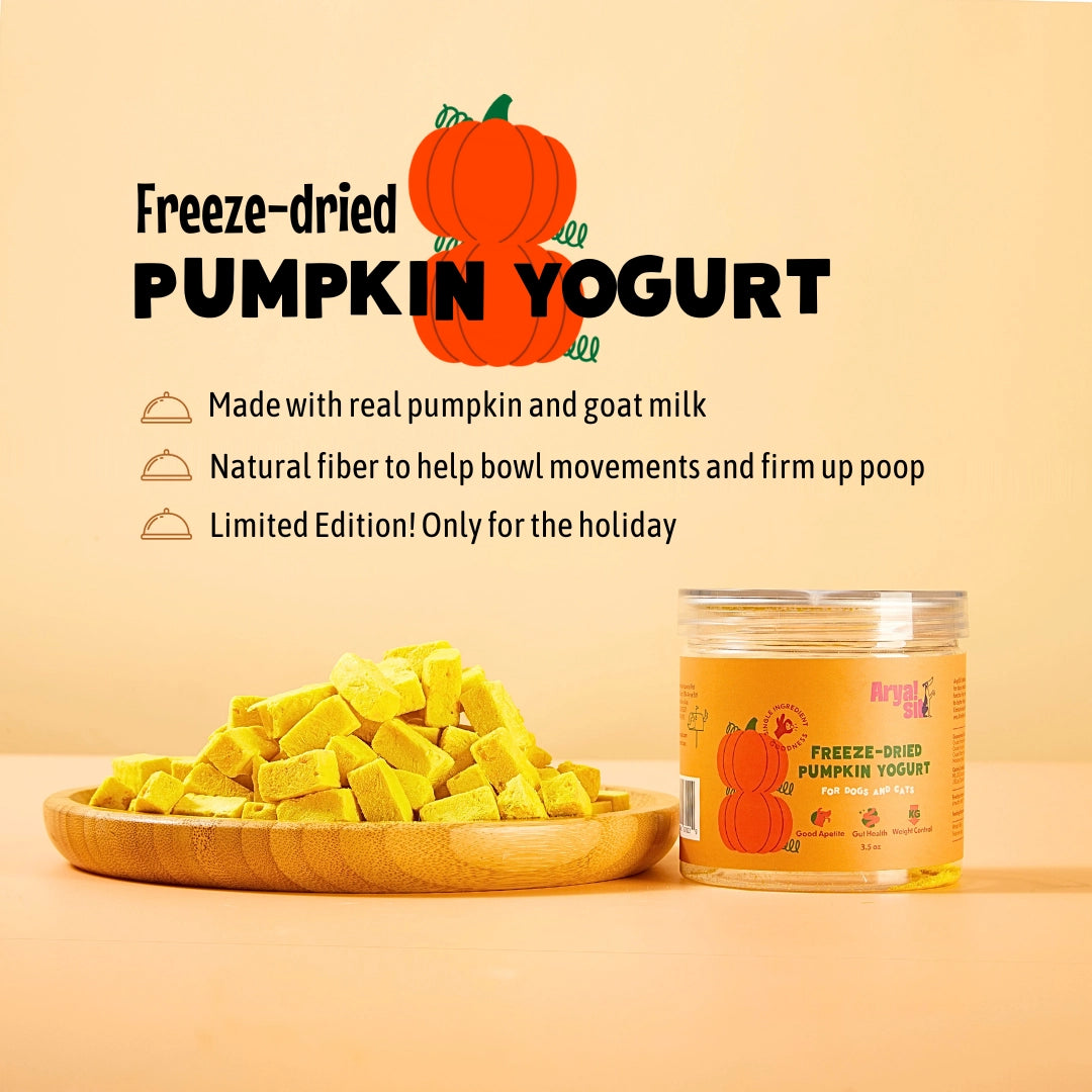 Arya Sit! Freeze Dried Pumpkin Yogurt
