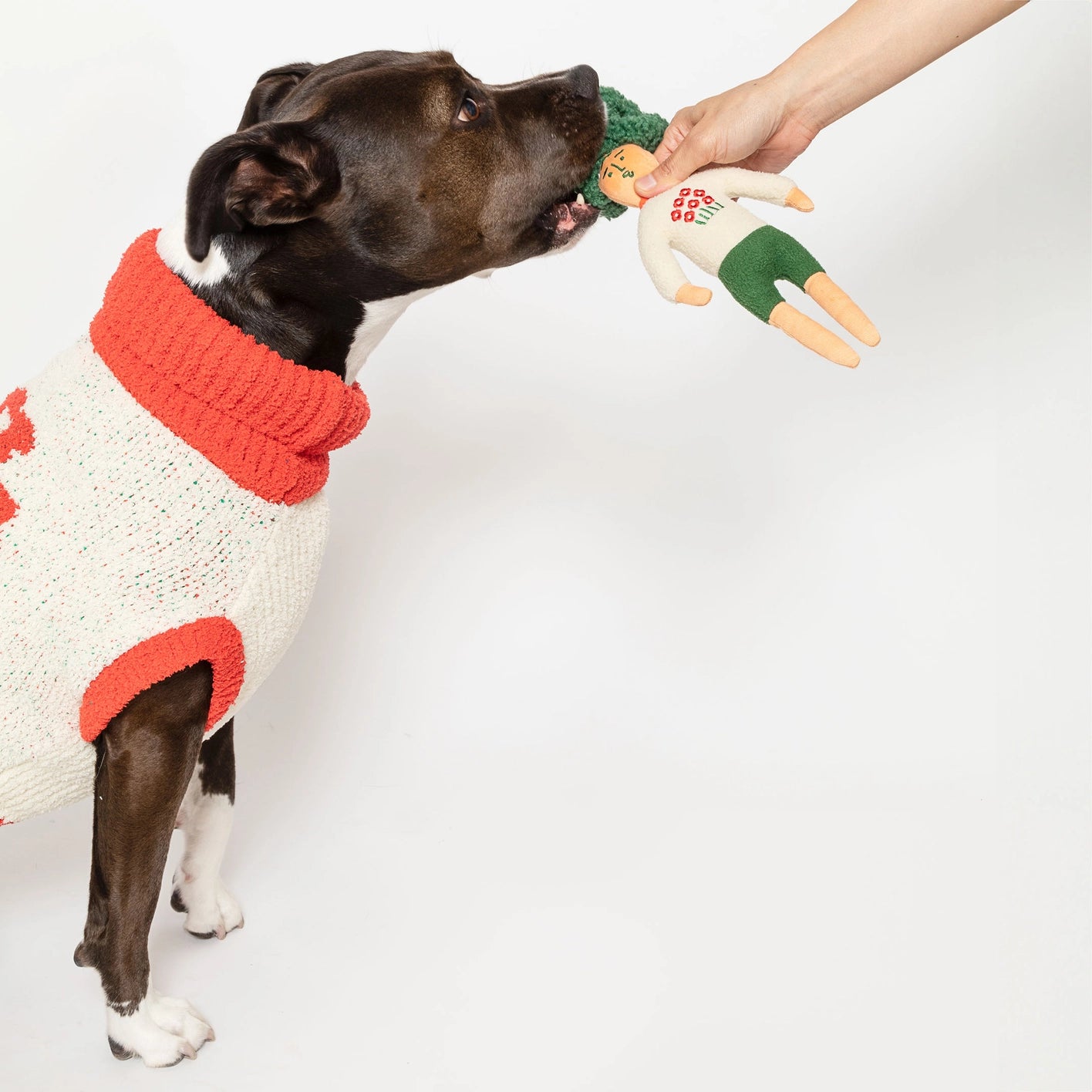 The Furry Folks Hooman Nose Work Toy