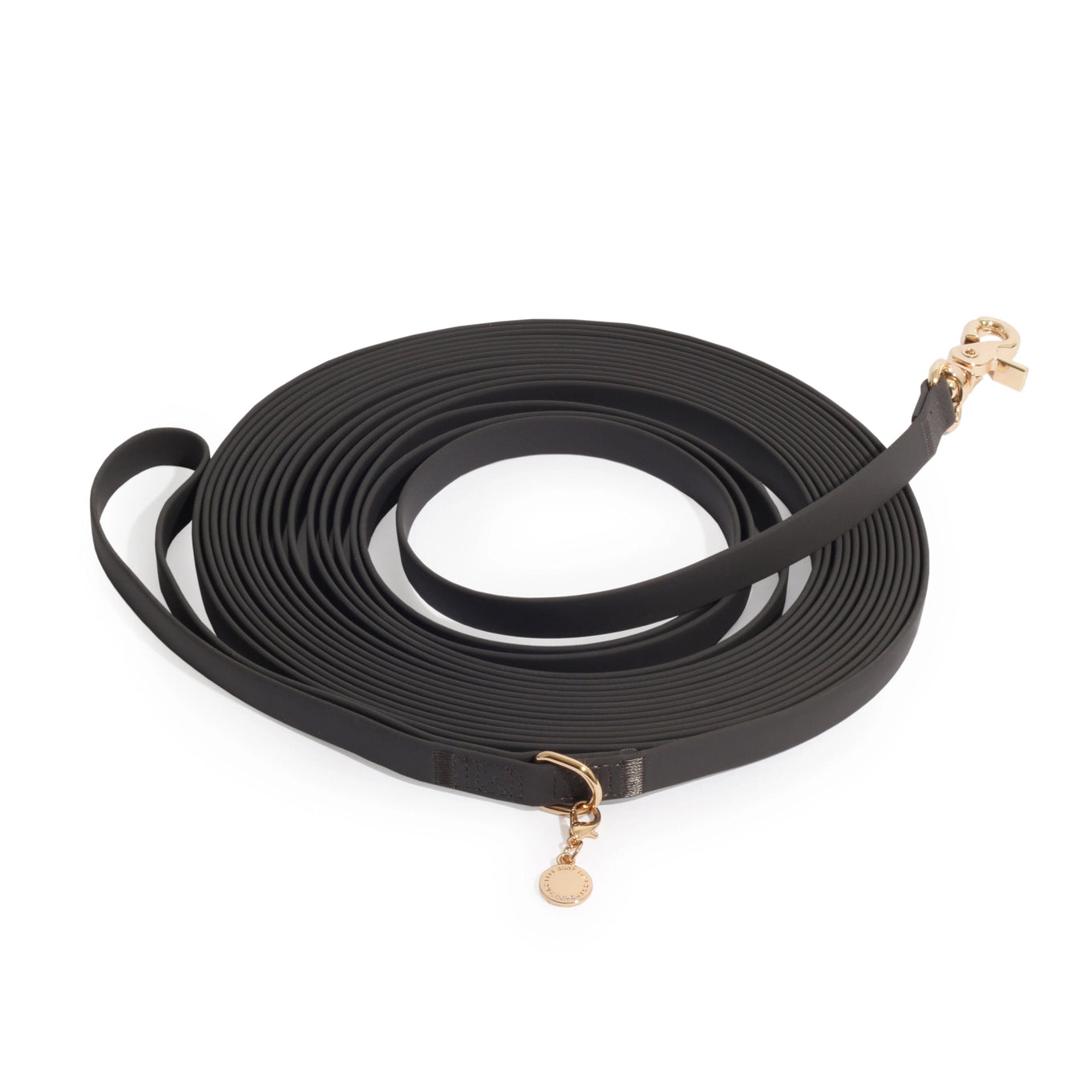 Sunny Tails Waterproof Cloud 30 ft Dog Leash