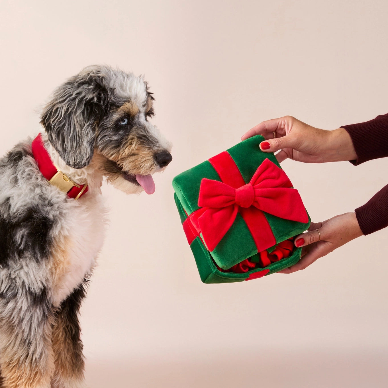 The Foggy Dog Holiday Present Snuffle Dog Toy