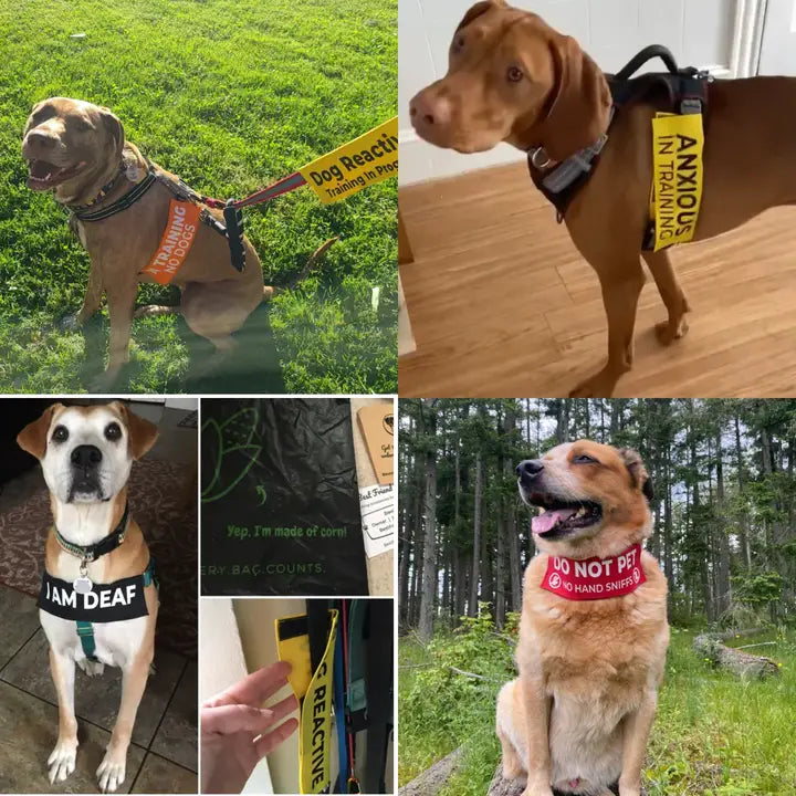 Best Friend Supplies Co. Leash Sleeves