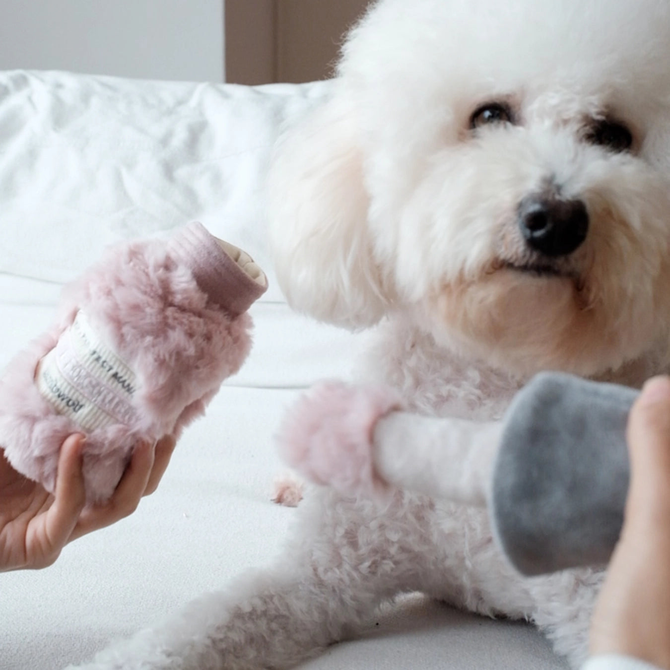 Lambwolf Collective - Nail Polish Enrichment Dog Toy