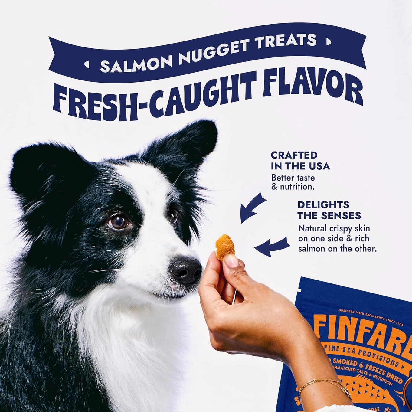 Finfare Freeze Dried Salmon Nuggets For Dogs & Cats
