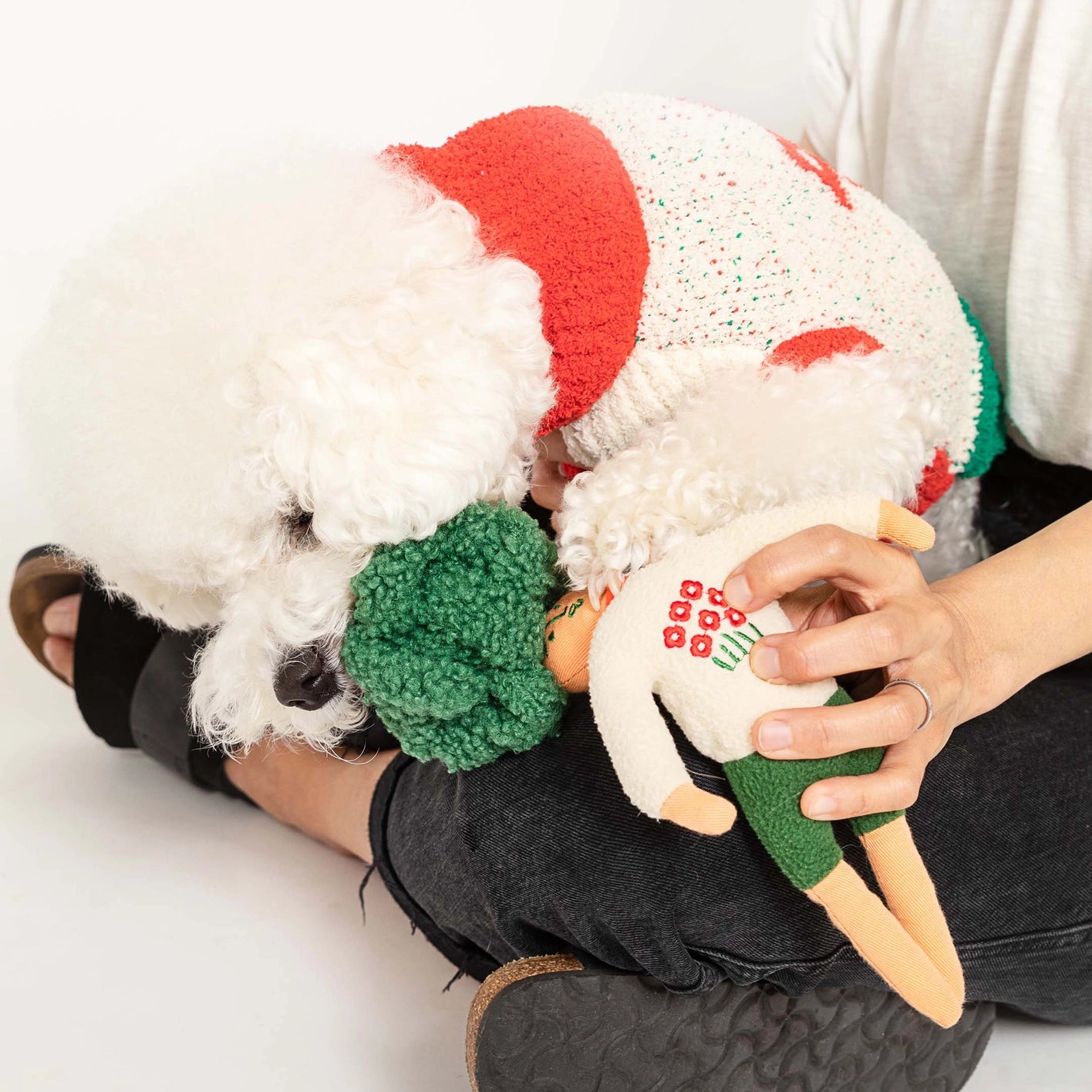 The Furry Folks Hooman Nose Work Toy