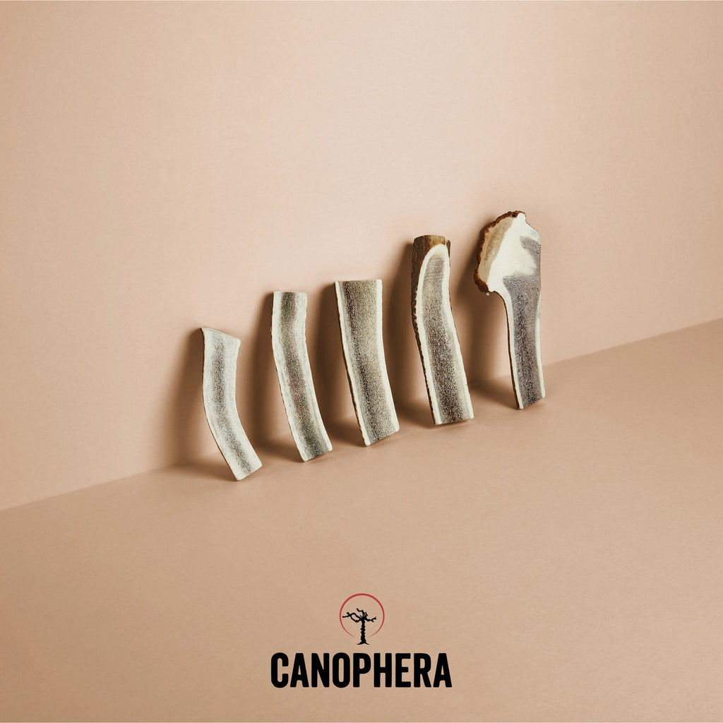 Canophera Red Deer Antler Splits