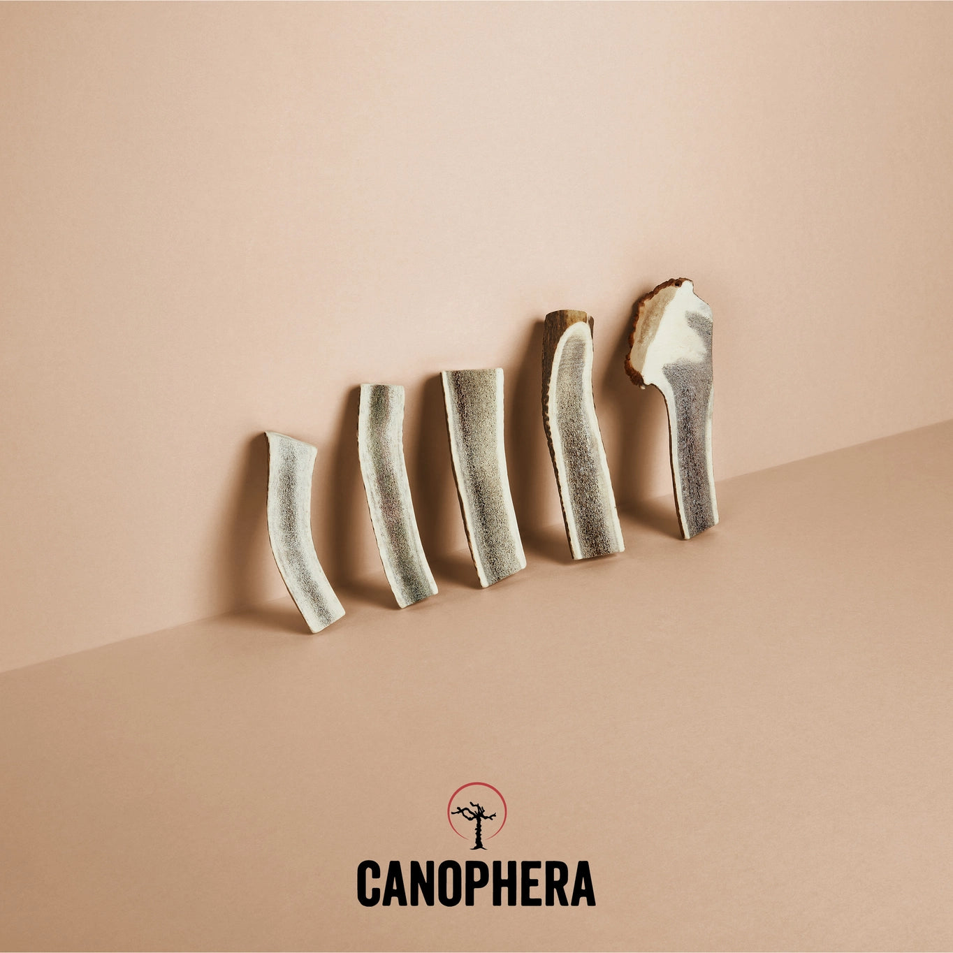 Canophera Red Deer Antler Splits