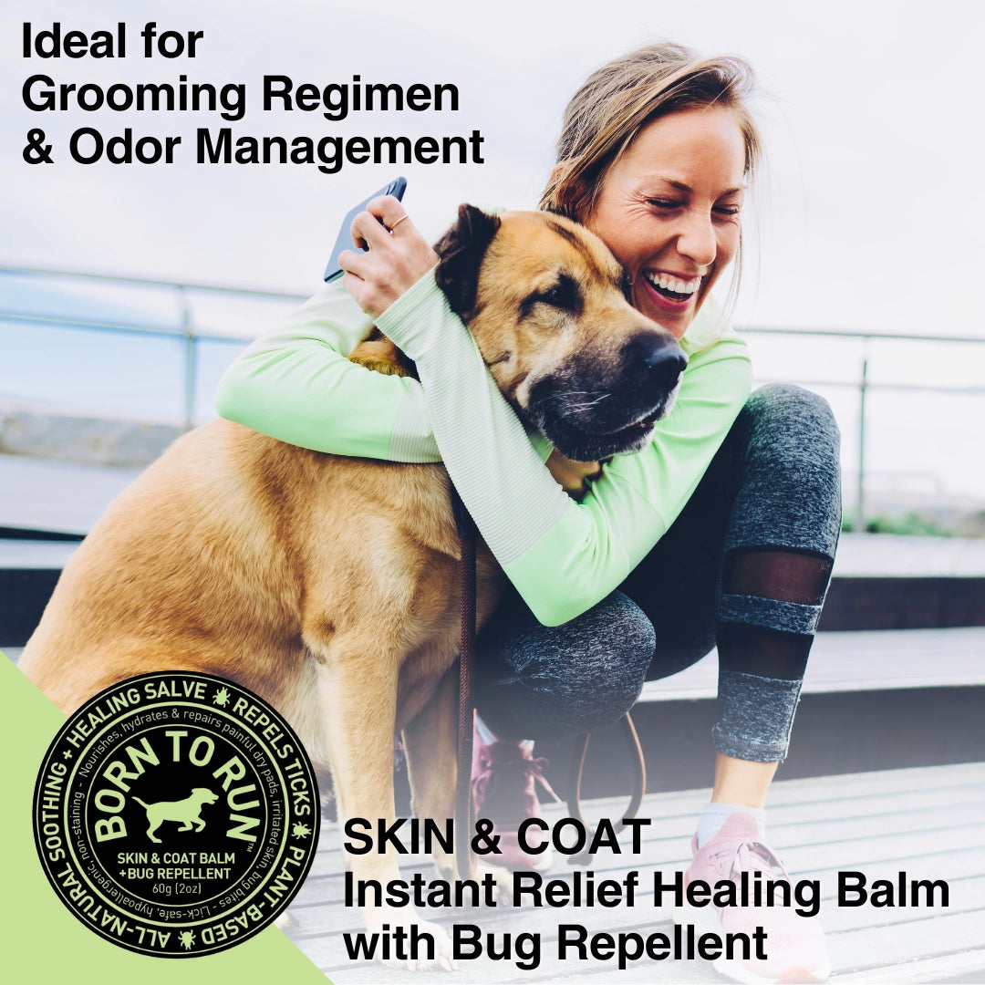 Born To Run Skin & Coat Healing Balm w/ Bug Repellent Organic